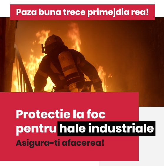 Firma termoprotectie hale metalice